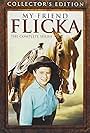 My Friend Flicka (1955)