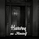 Harvey