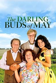 Primary photo for The Darling Buds of May