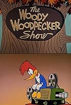 The Woody Woodpecker Show