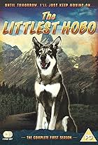 The Littlest Hobo