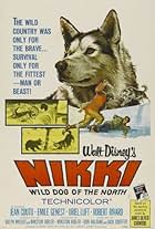 Nikki, Wild Dog of the North