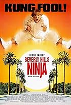 Beverly Hills Ninja