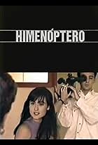 Himenóptero