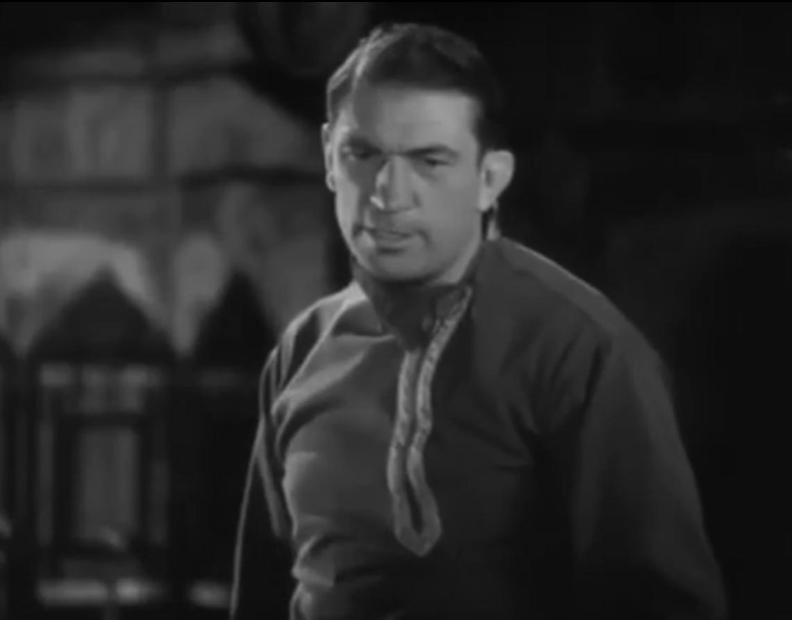 Victor McLaglen in The Black Watch (1929)