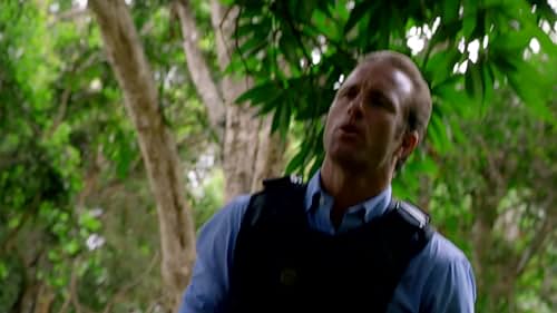 Hawaii Five-0: Why Can't You Say I'm Right