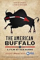 The American Buffalo