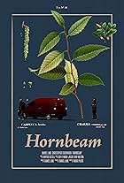 Hornbeam