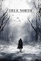 True North