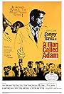 Sammy Davis Jr. in A Man Called Adam (1966)