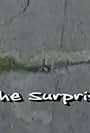 The Surprise (2008)