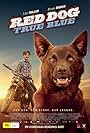 Levi Miller in Red Dog: True Blue (2016)