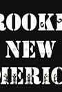 Brookes' New America (2009)