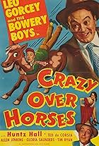 Crazy Over Horses