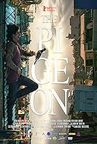 The Pigeon