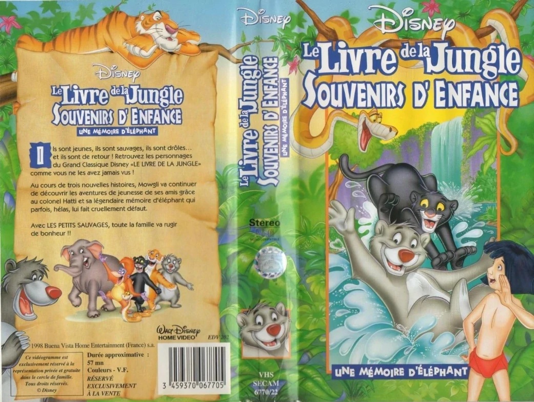 Jungle Cubs (1996)