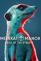 Meerkat Manor: Rise of the Dynasty (2021)