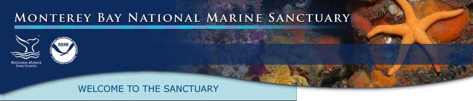 Monterey Bay National Marine Sanctuary