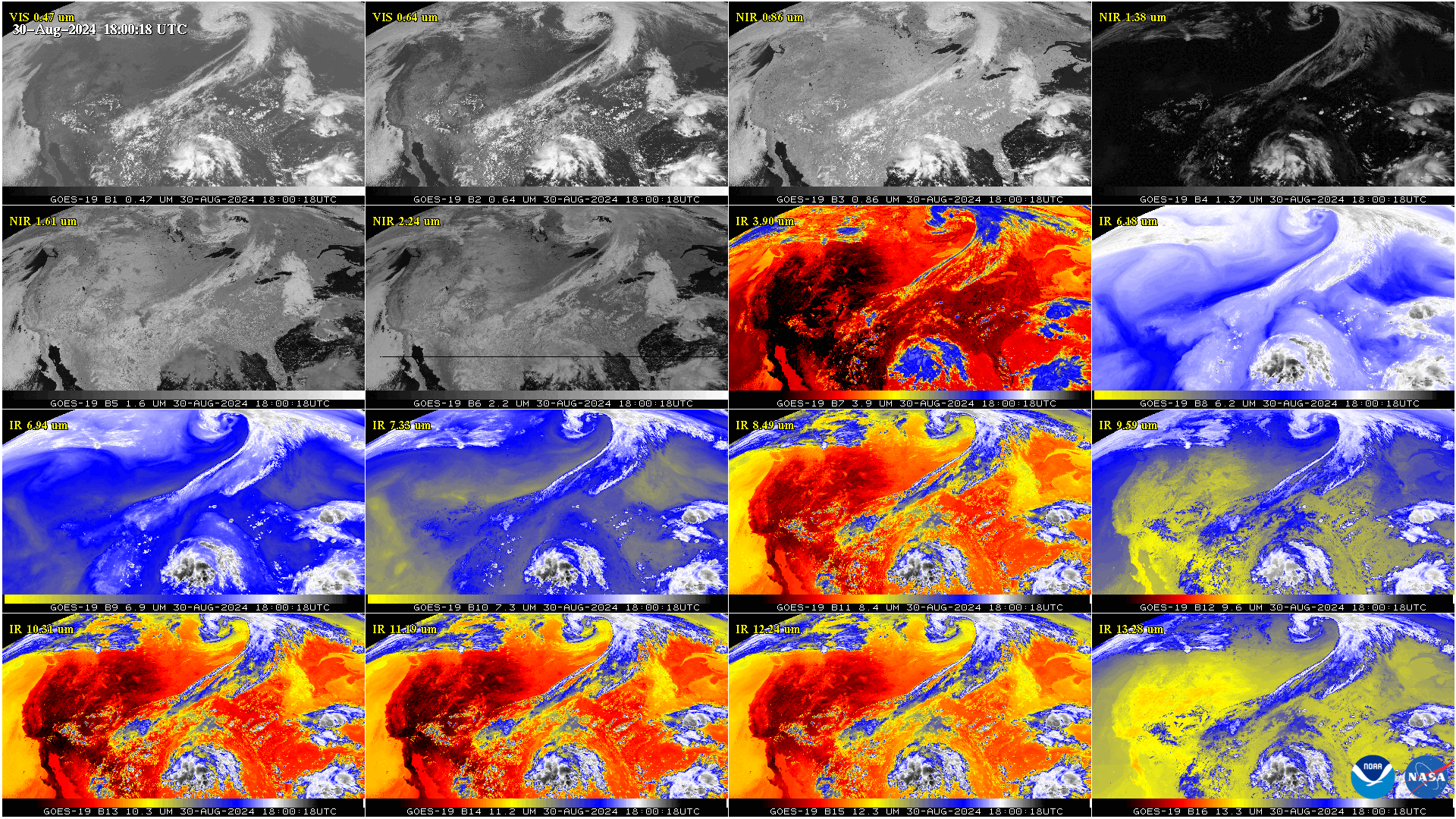 A panel of sixteen images that are the first light pictures from GOES-19