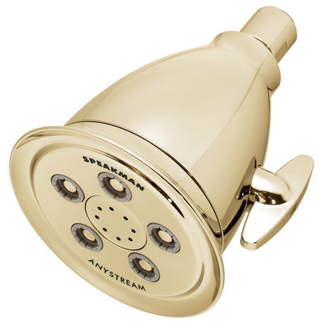 Anystream Hotel Showerhead, Polished Brass Finish