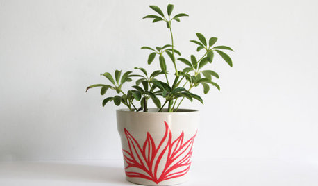 Guest Picks: Playful Planters and Pots