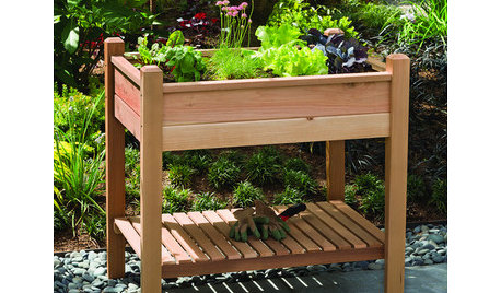 Guest Picks: 20 Outdoor Planters to Green Up Your Patio