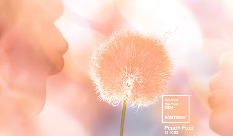 Pantone Picks a Peach for Its 2024 Color of the Year