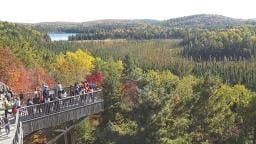 EarthCam: Algonquin Park Cam