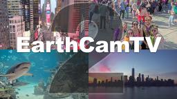 EarthCamTV