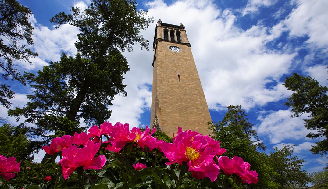 Ground-level view looking up at the campanile on a sunny day