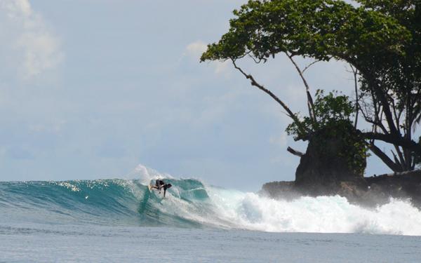 Average Sumatra Surf