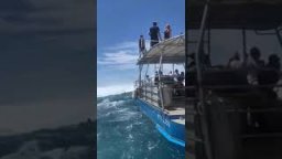 Justine Dupont Towed In At Teahupo'o