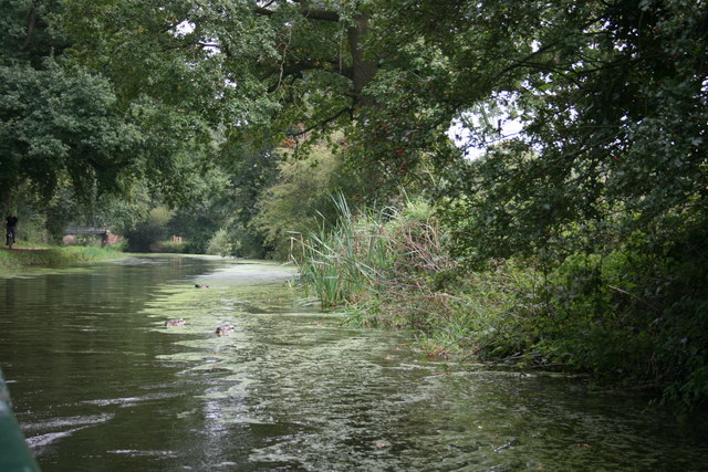 File:Grand Western Canal - geograph.org.uk - 1117367.jpg