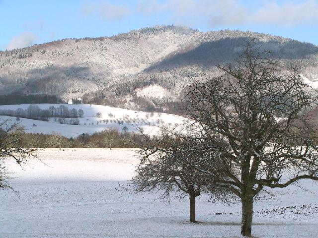 File:Winterlandschaft bi Schopfe.jpg