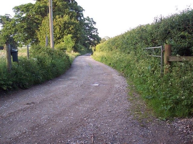 File:Drive to Britford Fishing Lakes - geograph.org.uk - 467006.jpg