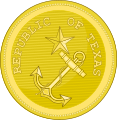 Texas Navy Uniform Button