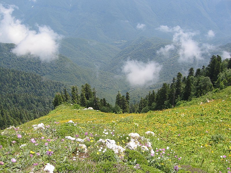 File:Alpine meadows near Gagra.jpg