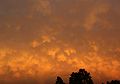 Mammatus in the evening