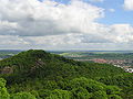 Blick von der Wartburg über das Rösesche Hölzchen