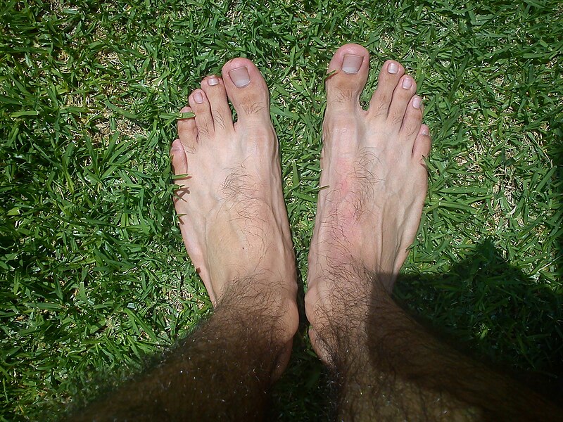 File:Human feet 1.jpg