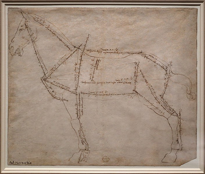 File:Andrea del verrocchio, rilievo metrico di un cavallo di profilo da sinistra, 1480-88 (met).jpg