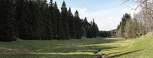 Wiese im Gimlitztal Nahe des Kalkwerkes