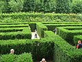 Hedge at the Palace Schönbrunn