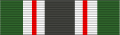 Texas Iraqi Campaign Medal Service Ribbon