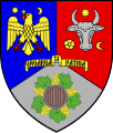 Vrancea county