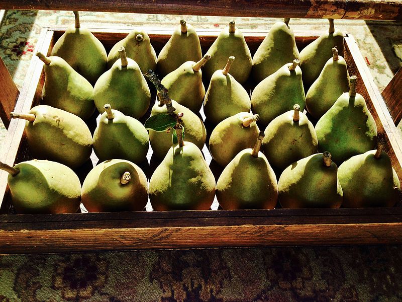 File:End of summer pears eff.jpg