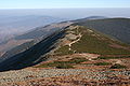 Czarny Grzbiet, Karkonosze Mountains, Poland/Czech Republic.