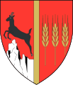 Neamț county