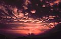 Mammatus clouds.