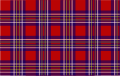 Texas Lone Star Tartan